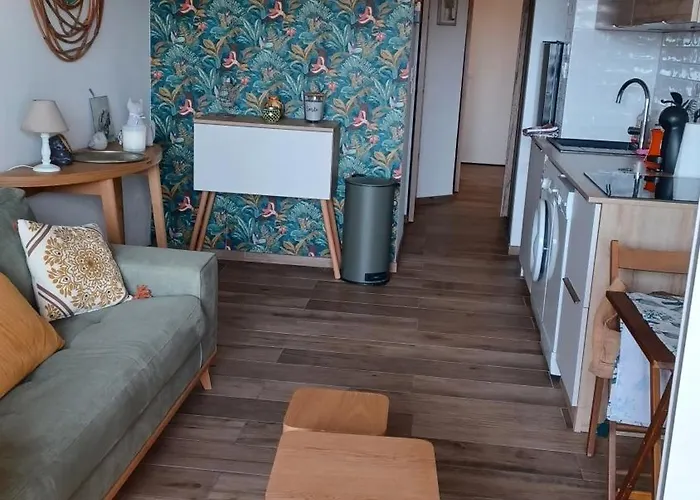 Cap Esterel Vue Et Climatisation Bat E1 303 Face Aux Piscines * Saint-Raphaël